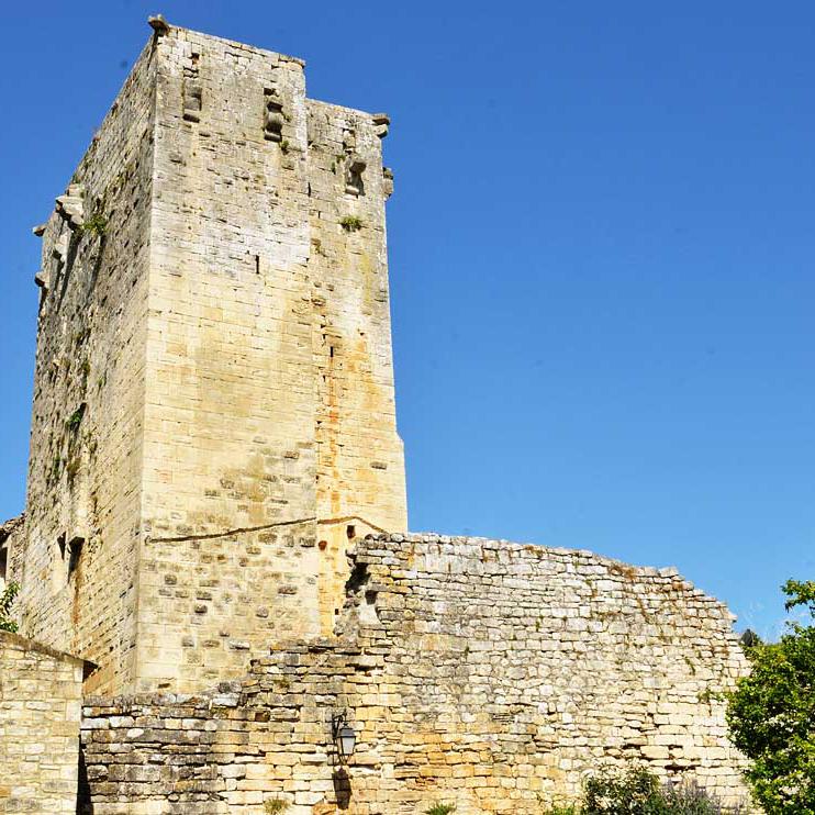 le donjon du château